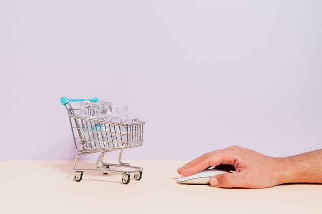 Custom E-Commerce Interface