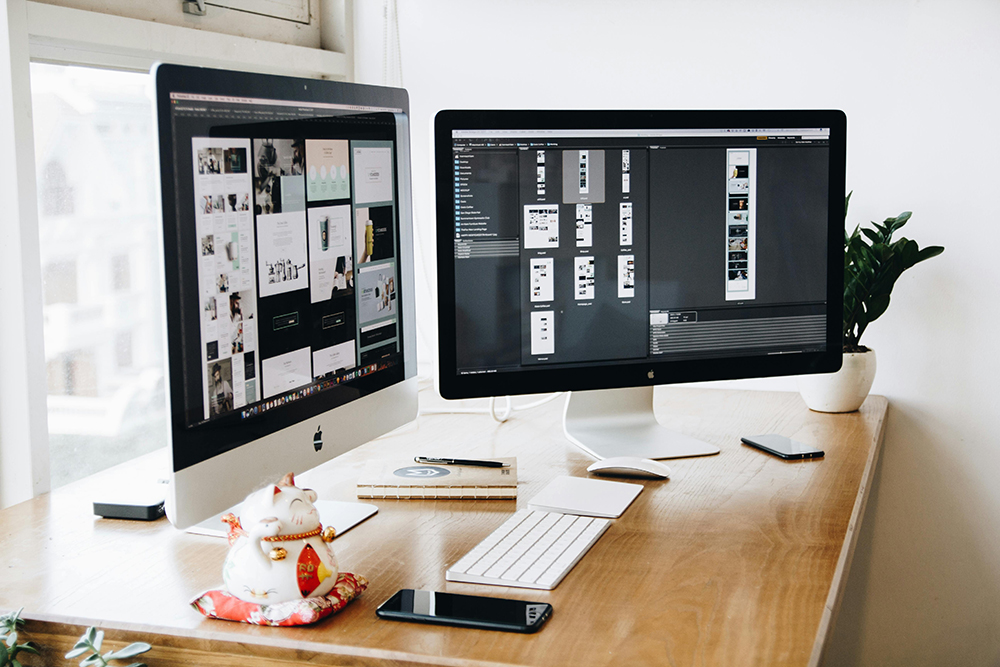 Website & Branding Preview