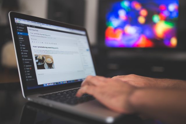 WordPress Custom Website Preview